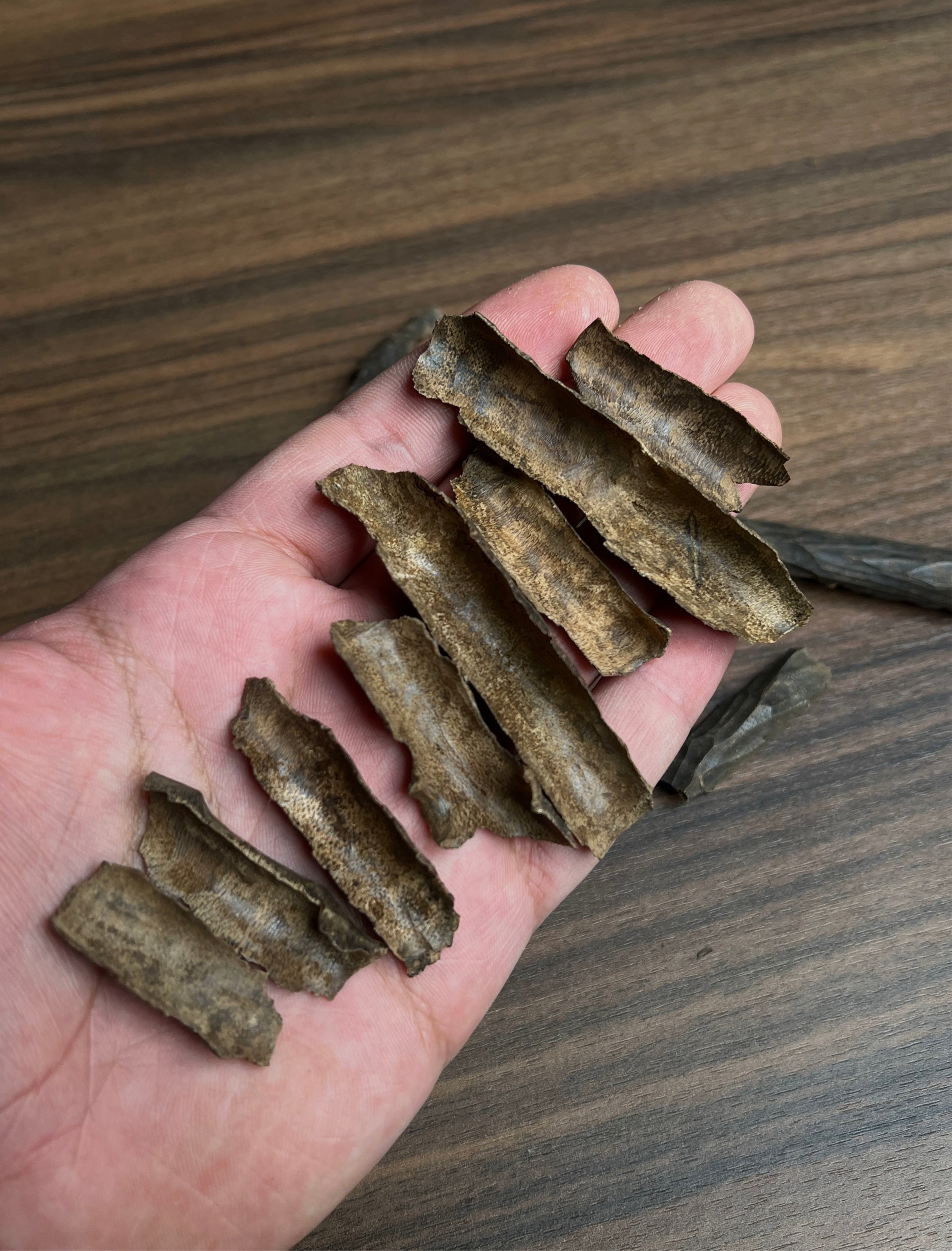 VIP زوايا هندي